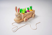 Load image into Gallery viewer, Never Alone - Pull-Along Bunny - littlelightcollective