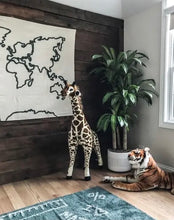 Load image into Gallery viewer, Wall Hanging Canvas Map - littlelightcollective