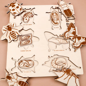 Bug Life Cycle Wooden Puzzle by Stuka Puka - littlelightcollective