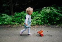 Load image into Gallery viewer, Squirrel Wooden Push Toy - littlelightcollective