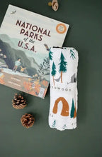 Load image into Gallery viewer, PRE ORDER - National Parks Swaddle - littlelightcollective