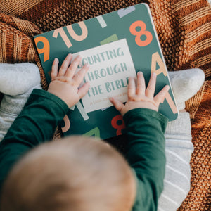 Imperfect Counting Through the Bible Board Book - littlelightcollective