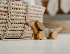 Wooden Pull Toy Green Sausage Dog - littlelightcollective
