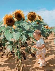 Sunflower Bell Bottoms - littlelightcollective