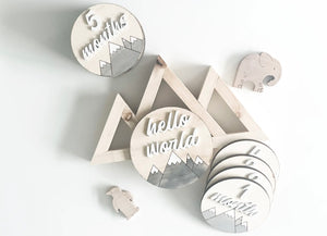 Wooden Mountain Monthly Milestones Discs - littlelightcollective