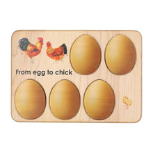 Load image into Gallery viewer, Chicken development wooden puzzle - littlelightcollective