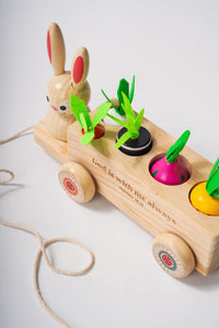 Never Alone - Pull-Along Bunny - littlelightcollective