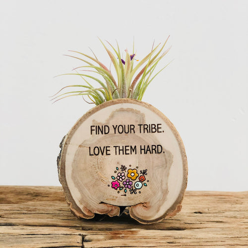 Find Your Tribe Medium Wood Round Magnet (Air Plant Magnet) - littlelightcollective