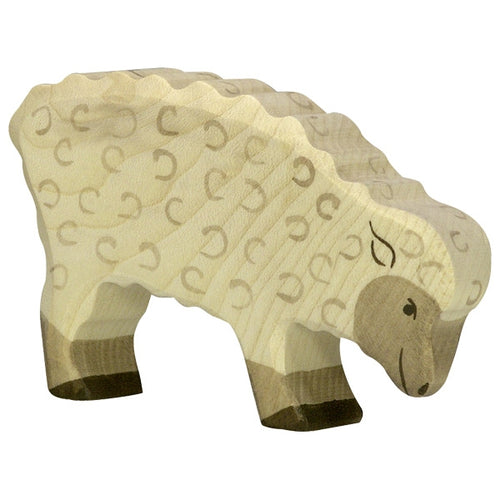 Sheep, feeding - littlelightcollective