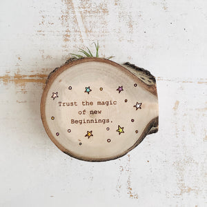 Trust the Magic - Wood Round (Air Plant Magnet) - littlelightcollective