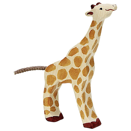 Giraffe, small, feeding - littlelightcollective