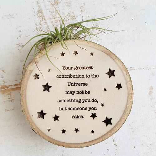 Your Greatest Contribution-Medium Wood Round (Air Plant Magnet ) - littlelightcollective