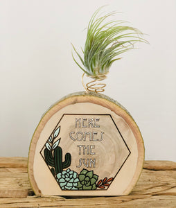 Photo Holder - Here Comes the Sun - littlelightcollective