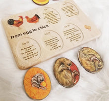 Load image into Gallery viewer, Chicken development wooden puzzle - littlelightcollective