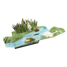 Load image into Gallery viewer, Woodland Painting Party: An Easter Pop-Up Book - littlelightcollective