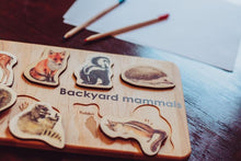 Load image into Gallery viewer, Backyard Mammals Puzzle - littlelightcollective