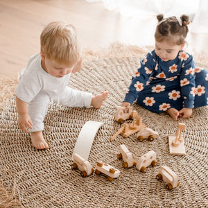 Vehicle Play set - littlelightcollective