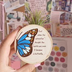 Handpainted Wooden Air plant magnet Butterfly - littlelightcollective