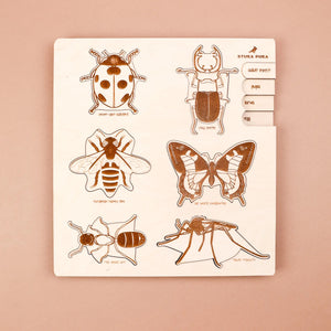 Bug Life Cycle Wooden Puzzle by Stuka Puka - littlelightcollective