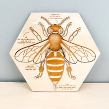 Load image into Gallery viewer, Bee Anatomy Wooden Puzzle - littlelightcollective