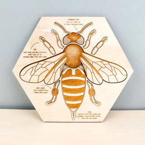Bee Anatomy Wooden Puzzle - littlelightcollective