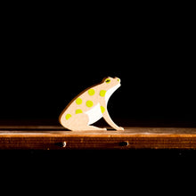 Load image into Gallery viewer, Play at Night - Nocturnal Animals Set - littlelightcollective
