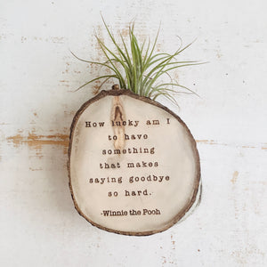 Saying Goodbye - Small Wood Round (Air Plant Magnet) - littlelightcollective