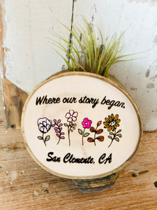 Air Plant Wood Magnet San Clemente: Where our Story Began - littlelightcollective