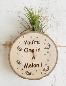 circle air plant magnet You’re One in a Melon-Medium Wood Round (Air Plant Magnet)