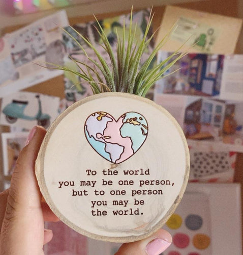 Air Plant Magnet or Photo Holder - To the World - littlelightcollective