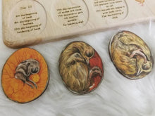 Load image into Gallery viewer, Chicken development wooden puzzle - littlelightcollective