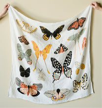 Load image into Gallery viewer, Pre - Order Butterfly Collector Swaddle - littlelightcollective