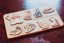 Load image into Gallery viewer, Backyard Mammals Puzzle - littlelightcollective