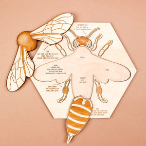 Bee Anatomy Wooden Puzzle - littlelightcollective