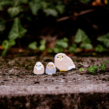 Load image into Gallery viewer, Play at Night - Nocturnal Animals Set - littlelightcollective