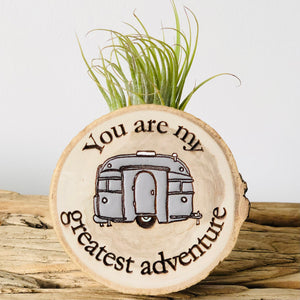 You are my greatest adventure - Wood Round (Air Plant Magnet ) - littlelightcollective