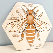 Load image into Gallery viewer, Bee Anatomy Wooden Puzzle - littlelightcollective